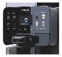 royal-otc-2.webp